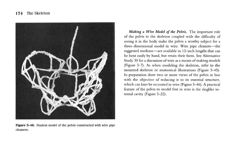 Drawing the Human Form 2nd Ed. II