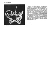 Drawing the Human Form 2nd Ed. II