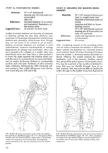 Drawing the Human Form II