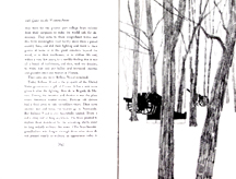 Still Quiet on the Western Front - Cannons