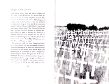 Still Quiet on the Western Front - Graves