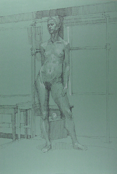 Standing Female Nude Frontal View on Green Paper