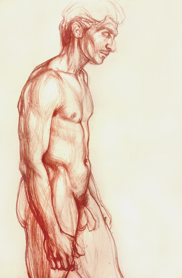 Standing Male Nude