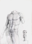 Male Torso with Study
