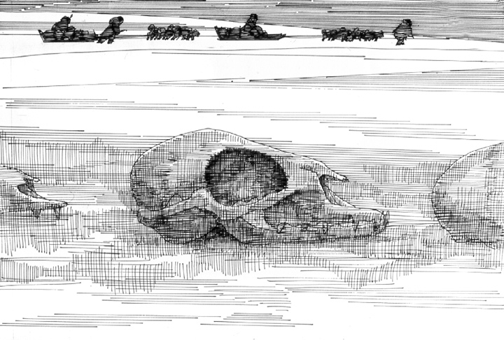 A Journey to the Arctic - Skull