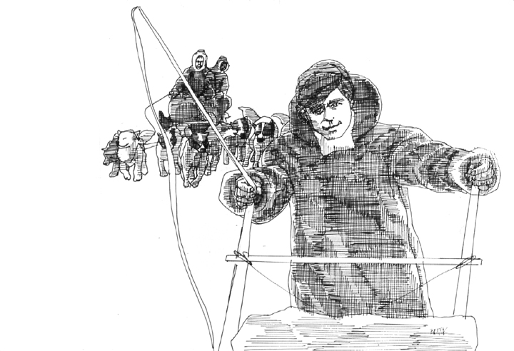 A Journey to the Arctic - Sledding