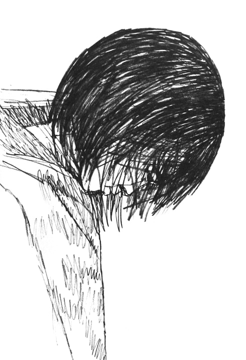 On Firm Ice - Head Bowed