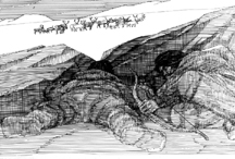 A Journey to the Arctic VIII