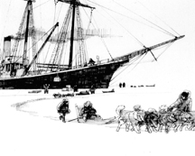 A Journey to the Arctic II