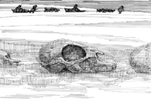 A Journey to the Arctic XI