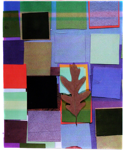 Grid Leaf Collage Three